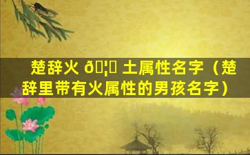 楚辞火 🦟 土属性名字（楚辞里带有火属性的男孩名字）